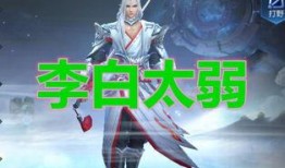 刺客十六最新爆料,揭秘神秘刺客背后的惊天秘密