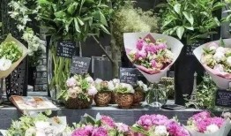 花店吃瓜最新事件爆料,揭秘背后惊人真相